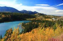 Skagway Shore Excursion: Yukon Discovery Tour