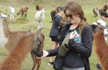 2-Days Otavalo Highlights