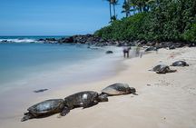Complete Island Tour