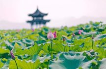 Flexible Hangzhou Private Tour from Shanghai by Bullet Train