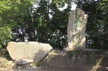 Best of Chongqing One Day Tour: Stilwell Museum, Arhat Temple, Eling Park, Panda