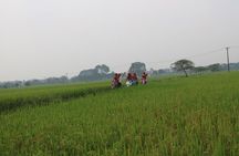 Hoi An Vespa Countryside Tour - Islands & Rural Villages 5 hours 