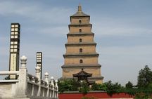 Xi'an Half-Day City Tour - Shaanxi History Museum and Big Wild Goose Pagoda