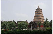 Xi'an Half-Day City Tour - Shaanxi History Museum and Big Wild Goose Pagoda