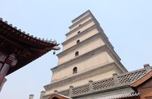 Xi'an Half-Day City Tour - Shaanxi History Museum and Big Wild Goose Pagoda