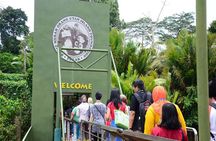 Orang Utan Island and Perak Tong Cave Temple Day Tour from Kuala Lumpur 