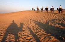 Sunset Desert Safari Trip By Quad Bike from Marsa Alam