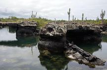 5-Day Guided Galapagos & Los Tuneles Tour