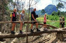 2-Day Khao Sok Jungle Safari from Krabi
