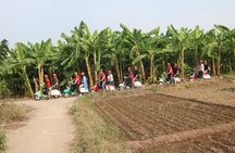 Hanoi Vespa Tour Explore Red River Delta & Rural Villages 5 Hours 