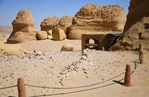 Day Trip to Wadi El-Hitan, Wadi El-Rayyan & Al Fayyom Oasis