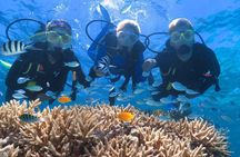 Quicksilver Great Barrier Reef Snorkel Cruise from Port Douglas