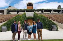 Discover Marlborough Wine - Afternoon Marlborough Wine Tour 