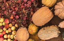 The Sunday Market in Had Draa & Local Food Tasting.