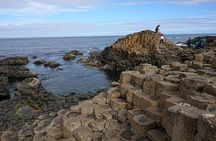 Private Giants Causeway and Antrim Coast Tour