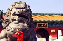 Private Day Tour to Shaolin Temple from Beijing by Bullet Train with Kungfu Show