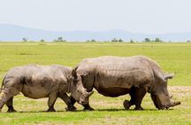 2-Day Ol Pejeta Conservancy Safari
