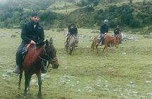 Humantay Lagoon - 1 Day (Group Tour)