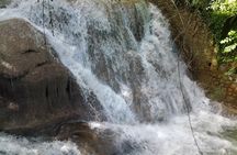 Dunn's River Falls excursion from Montego Bay