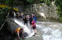Dunn's River Falls excursion from Montego Bay