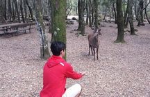 Cagliari: Is Cannoneris Nature Reserve Jeep and Walking Private Tour from Chia
