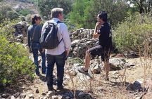 Cagliari: Is Cannoneris Nature Reserve Jeep and Walking Private Tour from Chia
