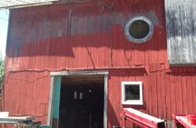 Niagara Falls USA and Underground Railroad Heritage Tour