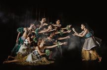 Fiji Untold by VOU: Cultural Storytelling by Young Artists - Nadi