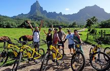 E-Bike Moorea Electric Bike Belvedere Tour (2 people minimum)