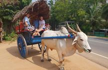 Day Tour of Sigiriya 