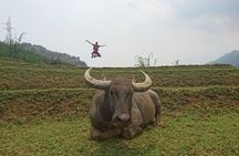 Sapa Trekking Tour - 1 day