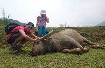 Sapa Trekking Tour - 1 day