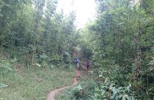Sapa Trekking Tour - 1 day