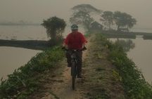 Cycle the Kolkata Wetlands and Amazing Views