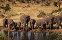 2-Days Safari Tarangire Park and Ngorongoro Crater