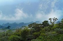 Corcovado National Park One Day Tour