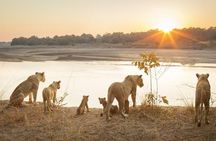 6-Day Budget Lodge Safari in Tanzania