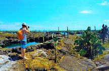 4-Day Galapagos Island Hopping Tour: Isabela, Boat Tours and Airport Transfer