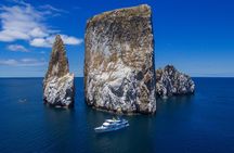 8-Day Machu Picchu & Galapagos Superior: Ultimate Bucket List Experience
