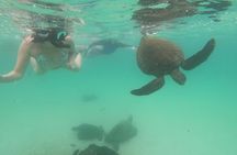 4-Day Galapagos Classic Tour: Santa Cruz, Bartolome or Seymour