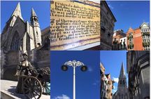 Private (Nearly!) All of Dublin in 5 hours (Walking Tour)