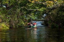 Gap of Dunloe Tour (Boat & Bus)