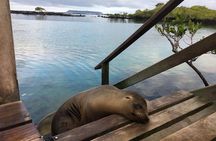 6-Day Galapagos Island Hopping: Kayaking, Mountain Biking and Volcano Hike