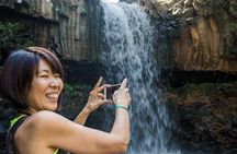 Waterfall & Rainforest Hiking Adventure with Hotel Pickup