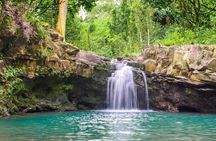 Waterfall & Rainforest Hiking Adventure with Hotel Pickup