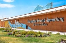 Grand Aquarium Museum Hurghada With Transfer in Hughada