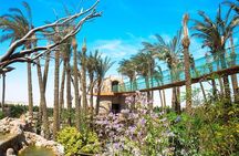 Grand Aquarium Museum Hurghada With Transfer in Hughada