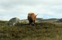 Scottish Highlands Freedom Bike & E- Bike Tour with Transfers