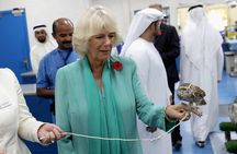 Falcon Tour Abu Dhabi With Hotel Pickup And Drop Off 