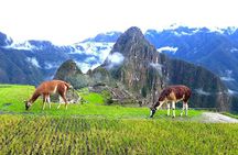 Small-Group Day Tour to Machu Picchu